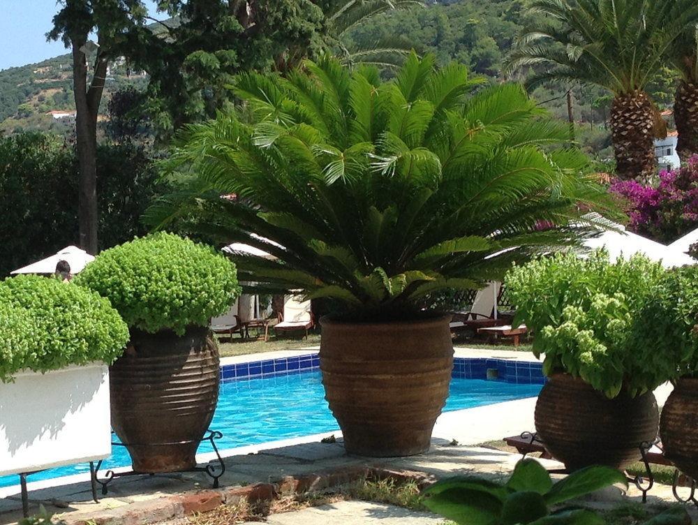 Hotel Prince Stafilos Skopelos Eksteriør billede